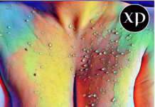 कामिनी – गहरी चाल | Update 19 | Erotic Adult Sex Story कामिनी – गहरी चाल Suspense Thrill Story with Erotic Sex Tadka